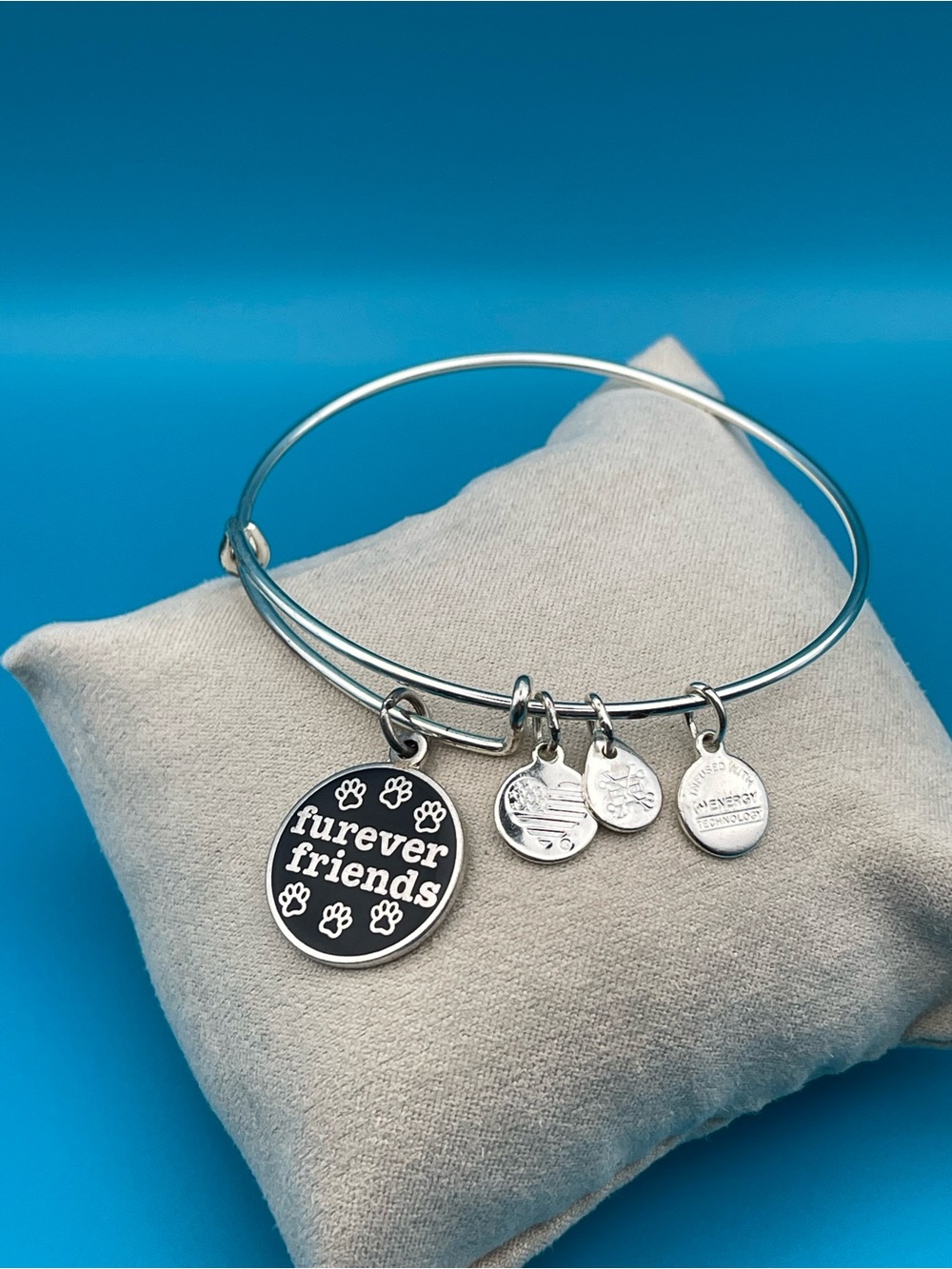 Alex and Ani Silver Furever Friends Charm Bangle with Paw Print Disc